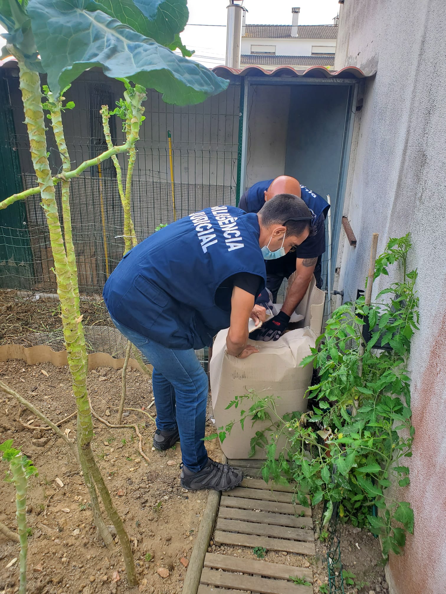 Diligência_Apreensão Animais Galinhas 1