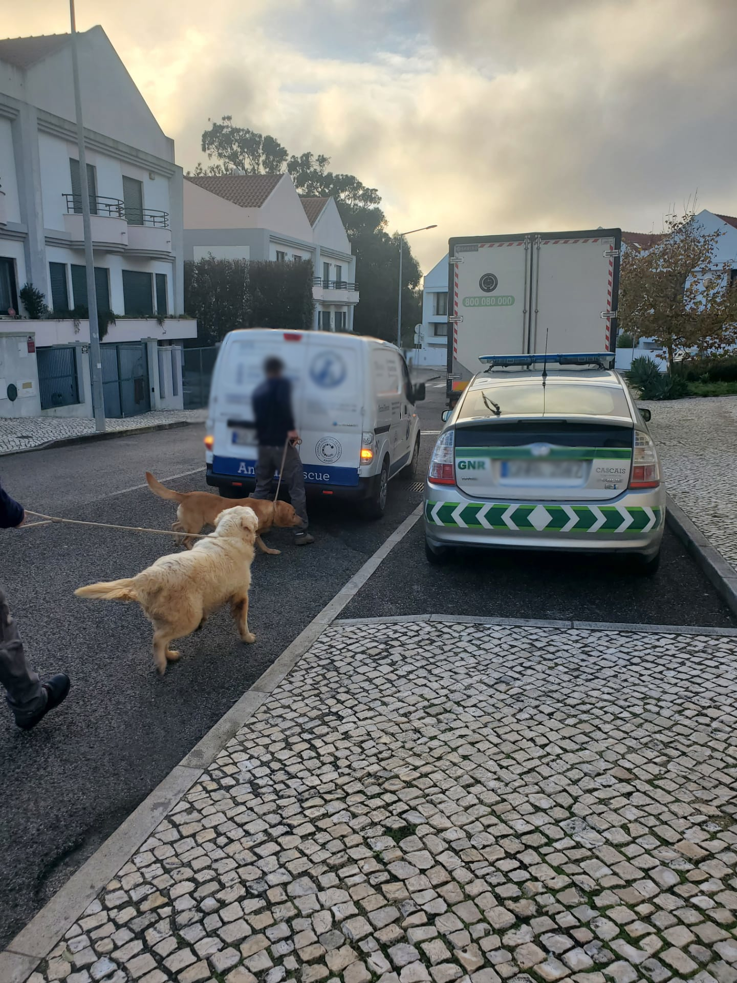 Meios Operacionais_Com Animais Vivos_Cães