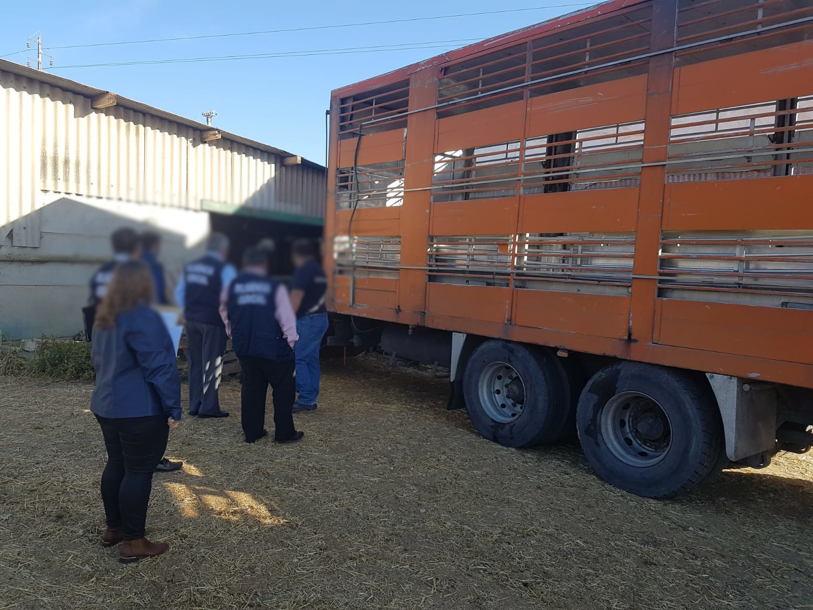 Meios Operacionais_Com Animais_Ovelhas (1)
