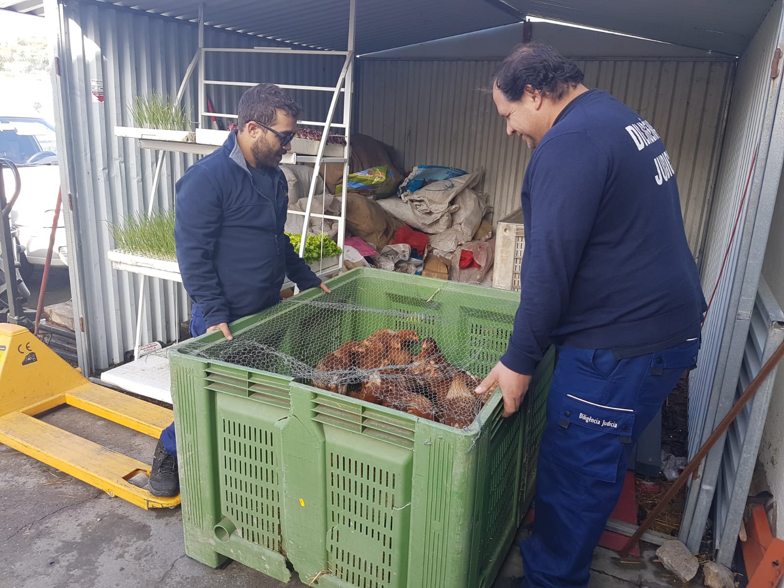 Diligências Judiciais_Com Animais Vivos (1)