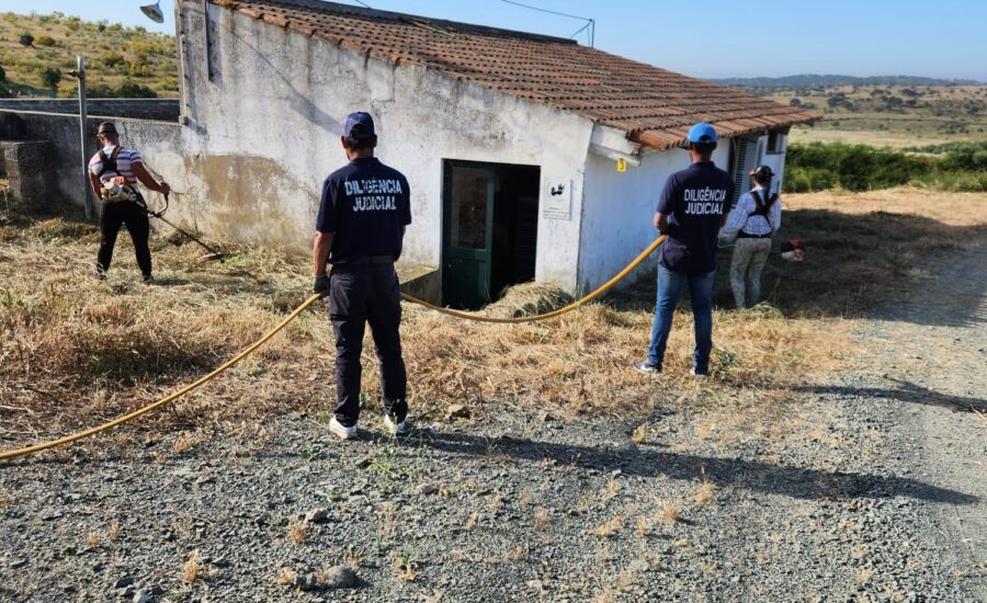 Prestação de Facto site 18052026 (5)