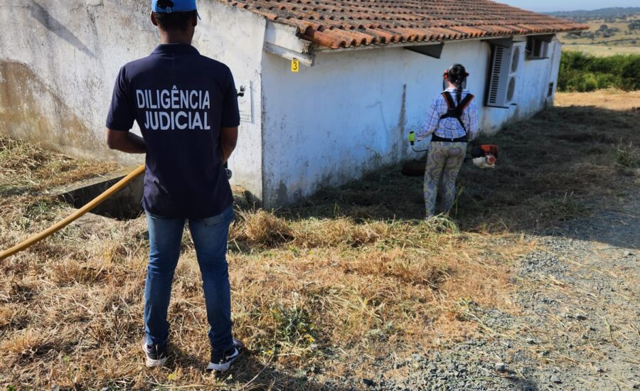 Prestação de Facto site 18052026 (6)