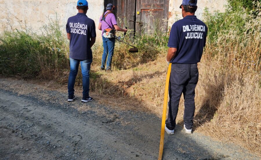 Prestação de Facto site 18052026 (8)