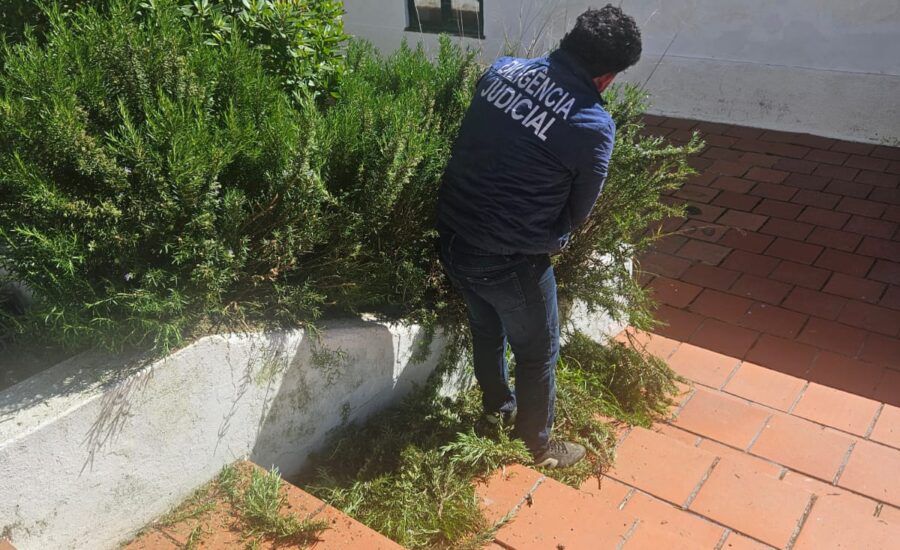 Quinta da Salvada_Prestação de Facto 02042026 (4)